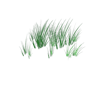 High Grass x 18